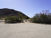 Enlarge photo 80