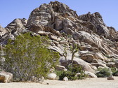 Enlarge photo 84
