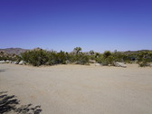 Enlarge photo 85