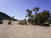 Enlarge photo 97