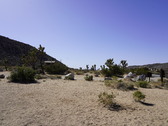 Enlarge photo 104