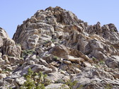 Enlarge photo 106