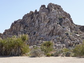 Enlarge photo 107