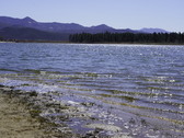 Enlarge photo 23