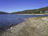 Enlarge photo 33
