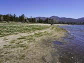Enlarge photo 35