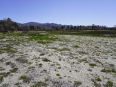 Enlarge photo 41