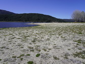 Enlarge photo 43