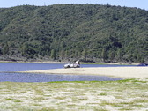 Enlarge photo 48