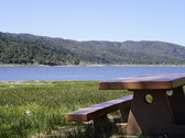 Enlarge photo 61