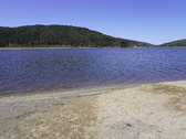 Enlarge photo 77