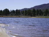 Enlarge photo 81
