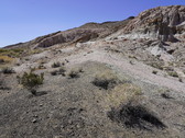 Enlarge photo 17