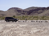 Enlarge photo 53