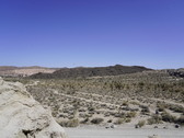 Enlarge photo 93