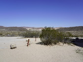 Enlarge photo 111