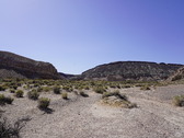 Enlarge photo 61
