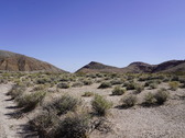 Enlarge photo 72