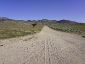 Enlarge photo 3