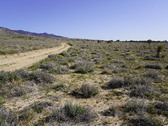 Enlarge photo 28