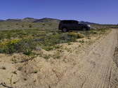 Enlarge photo 31