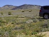 Enlarge photo 32