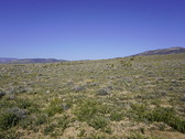Enlarge photo 33
