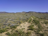 Enlarge photo 34