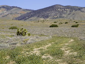 Enlarge photo 40