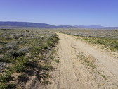 Enlarge photo 41