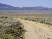 Enlarge photo 42