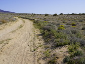Enlarge photo 43