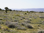 Enlarge photo 44