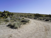 Enlarge photo 47