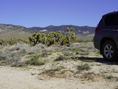 Enlarge photo 51
