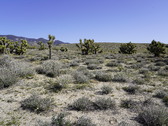 Enlarge photo 53