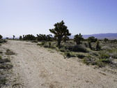 Enlarge photo 55