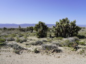 Enlarge photo 56
