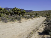 Enlarge photo 62