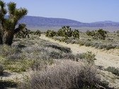 Enlarge photo 63