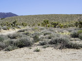 Enlarge photo 64