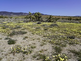 Enlarge photo 65