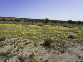 Enlarge photo 66