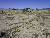 Enlarge photo 75