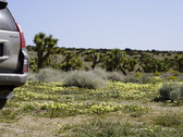 Enlarge photo 80