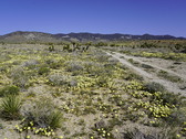 Enlarge photo 81