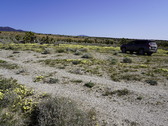 Enlarge photo 82