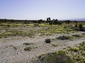 Enlarge photo 83