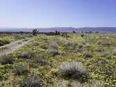 Enlarge photo 84