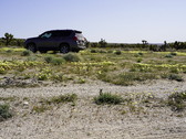 Enlarge photo 85